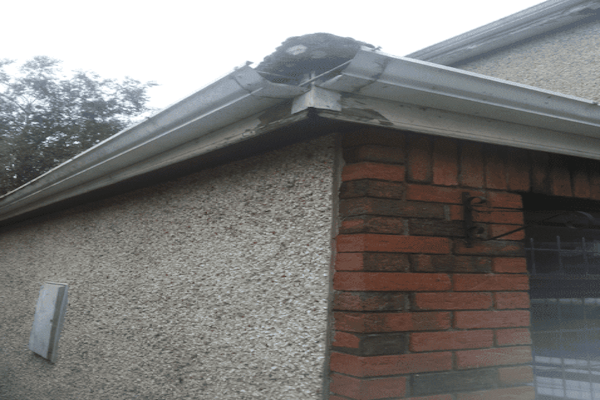 fascia Soffit Gutter-Replacement-in-Dublin